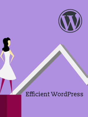 Efficent WordPress